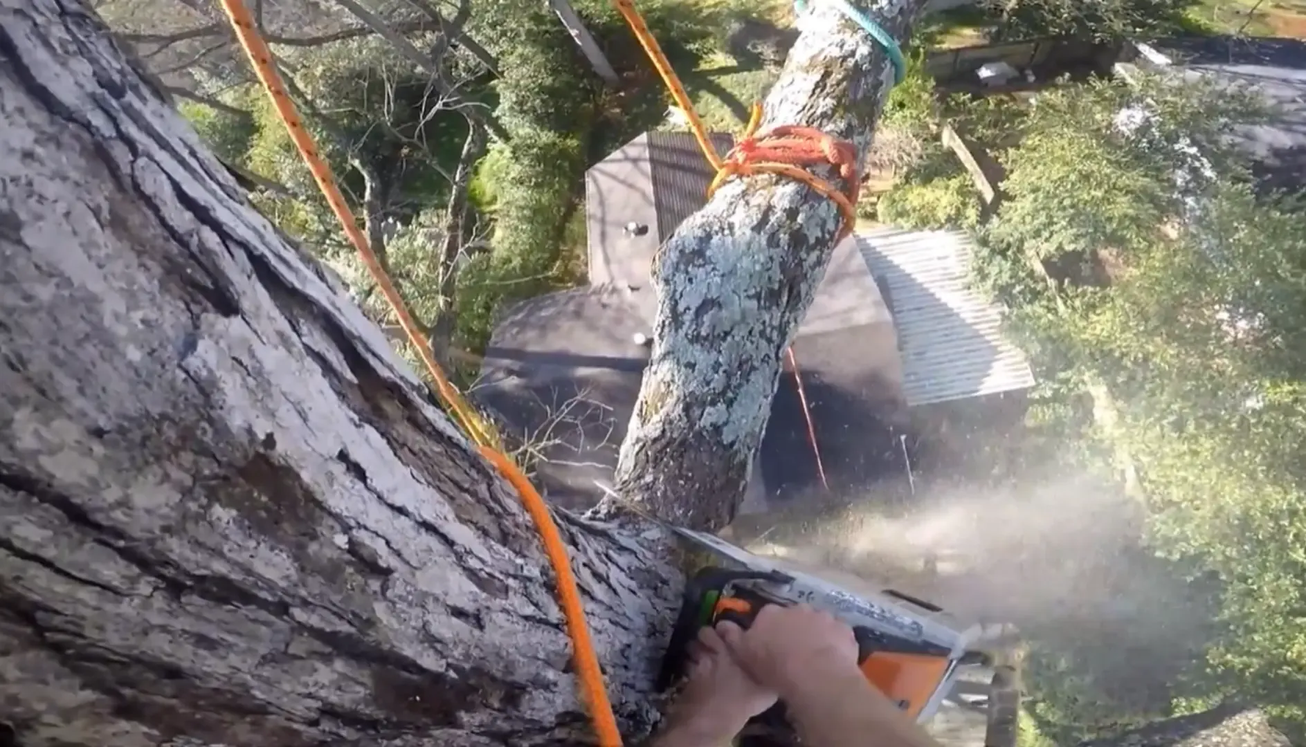 Tree removal near a house in Rome, GA — climber sectioning a limb close to the roof
