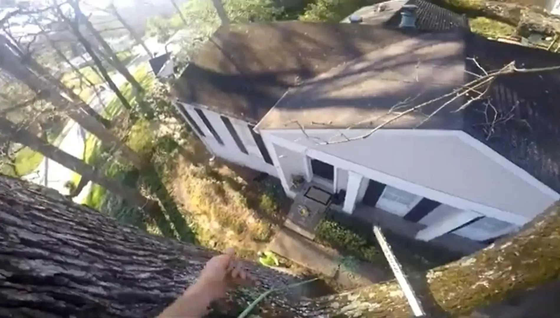 Point-of-view from a climbing arborist looking down at a house roof during tree work