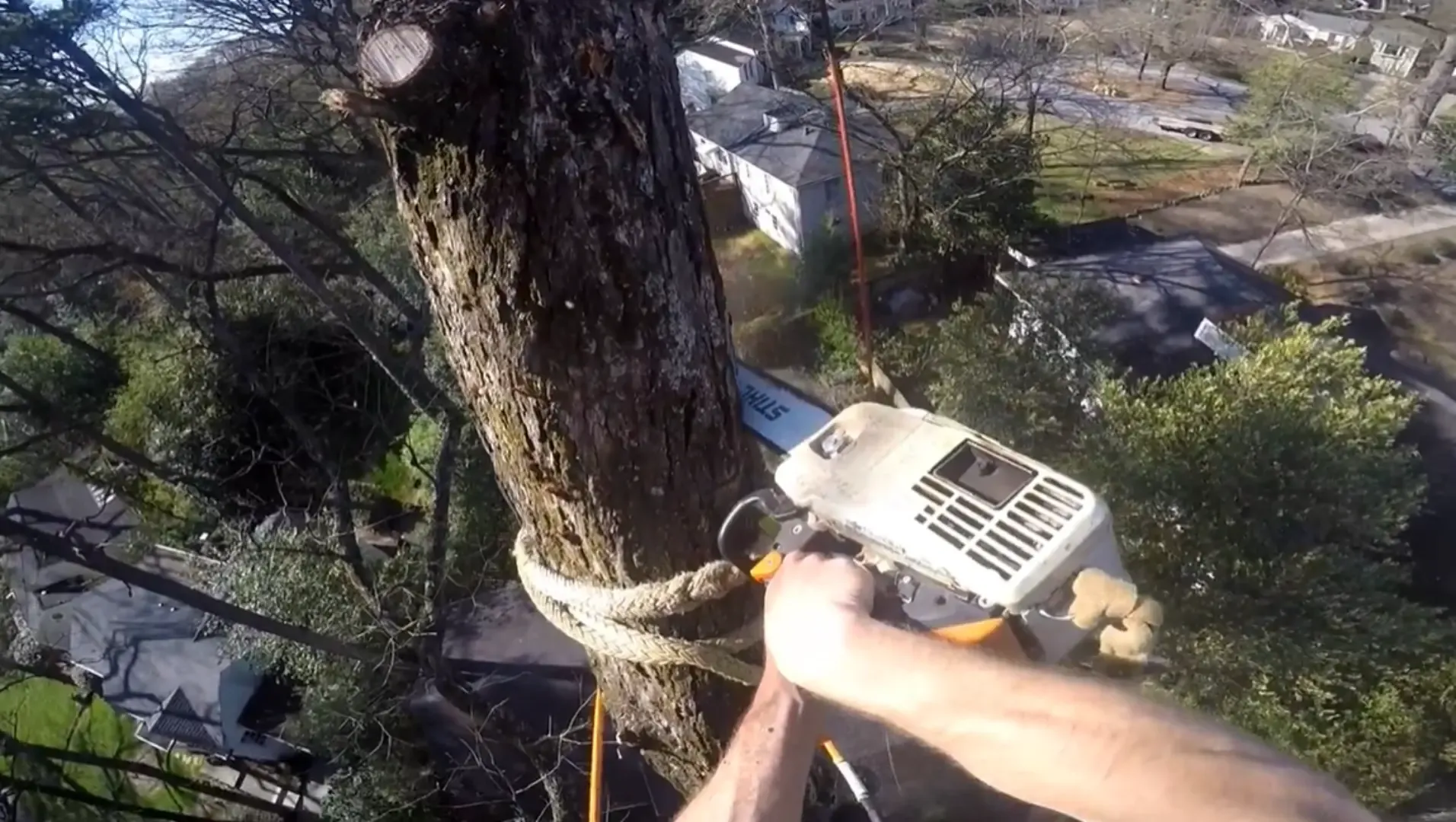 Tree risk assessment Rome GA — arborist inspecting a large tree from height