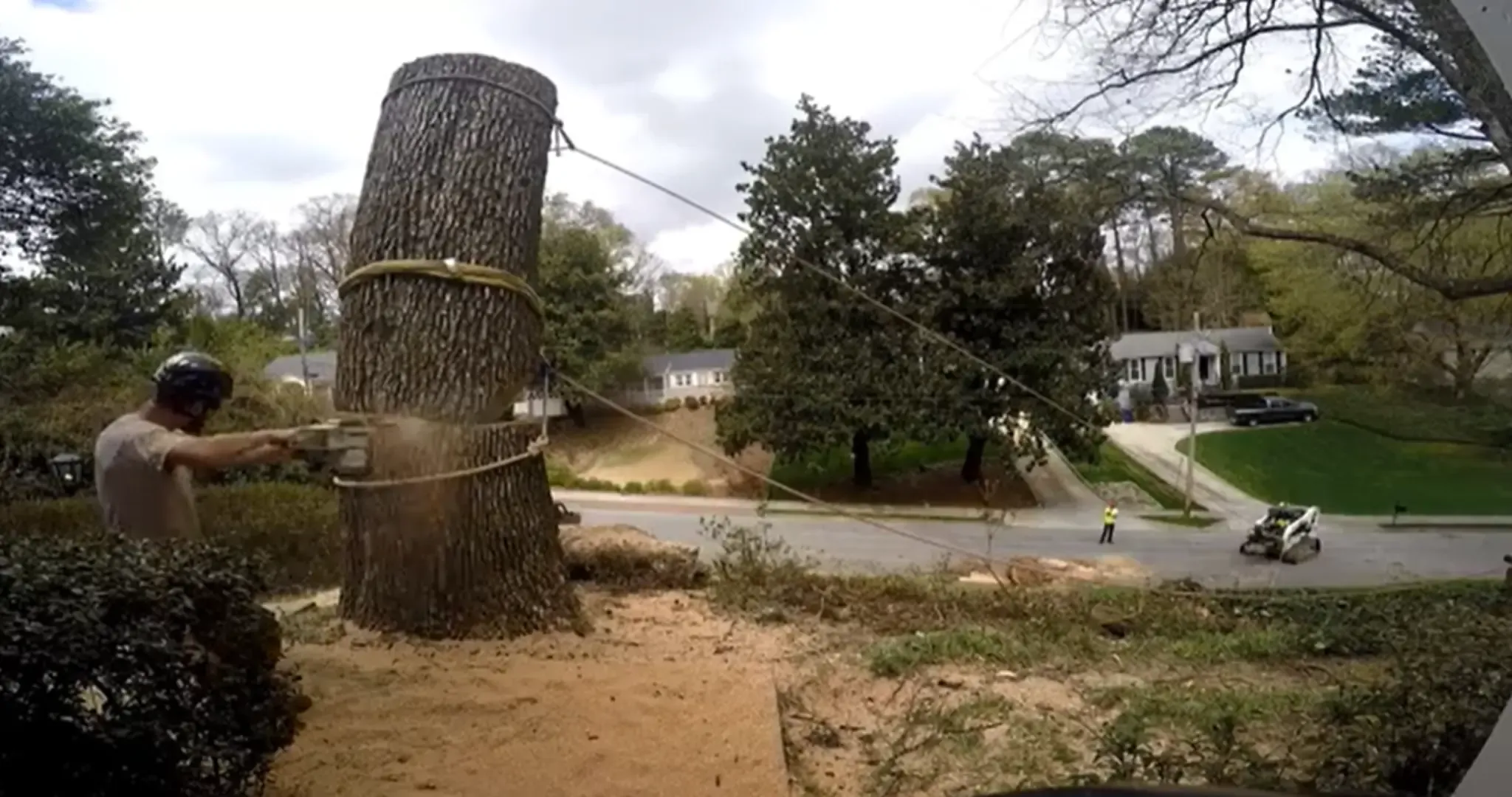 Land clearing in Rome, GA — ground crew felling a large rigged tree trunk with ropes and a skid steer on site