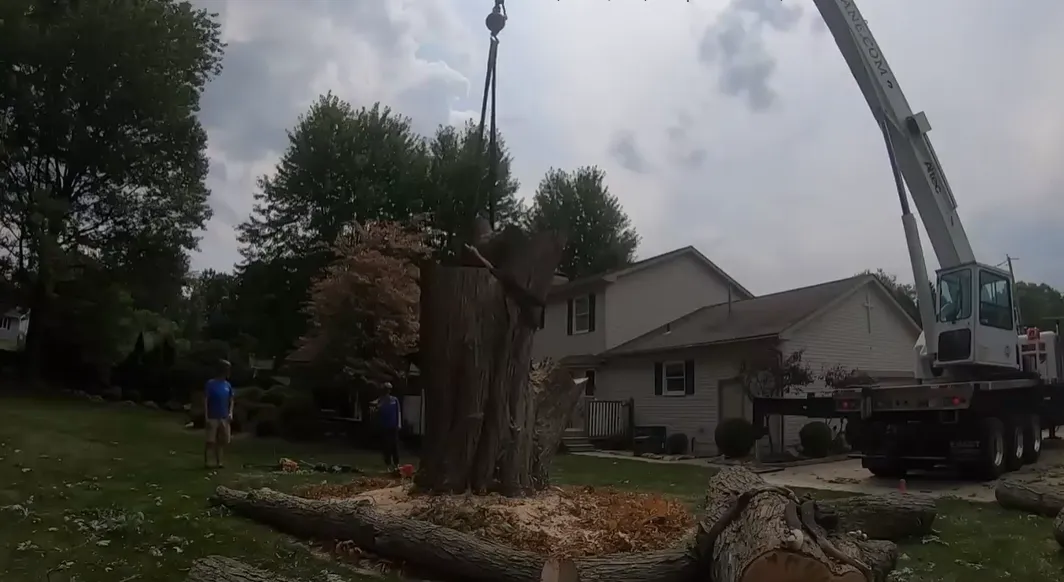 Crane holding a tall trunk section while a crew dismantles a tree near a home