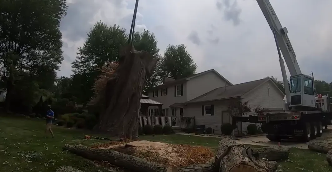 Large tree trunk being cut down in sections beside a two-story home during emergency tree removal