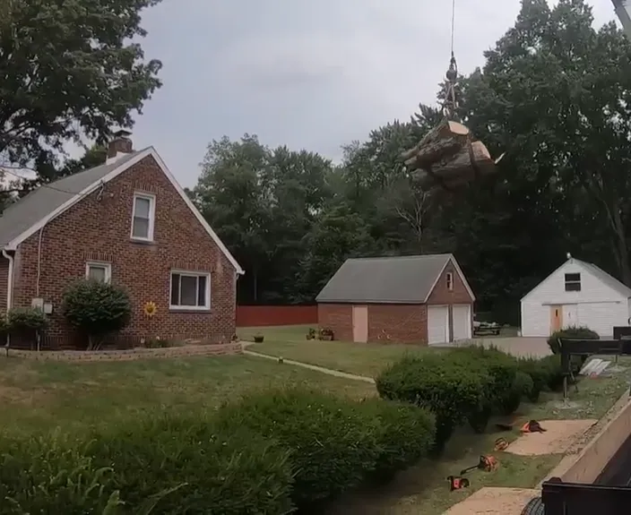 Brick home and backyard lawn after a large tree was removed