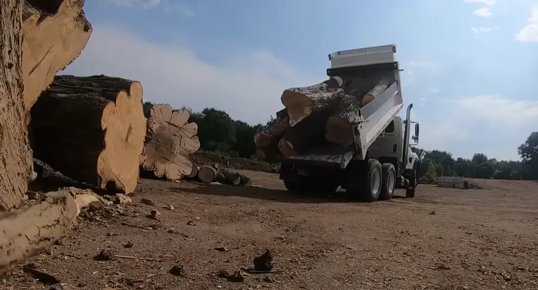 Dump truck loaded with cut logs hauling tree debris away from a job site