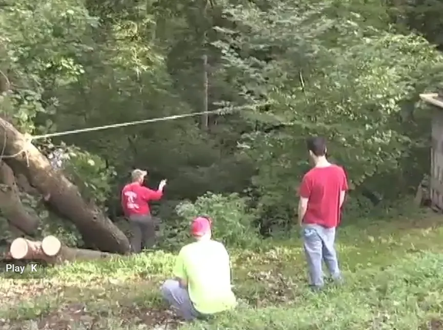 Tree crew standing beside leaning trees and planning the rigging before removal